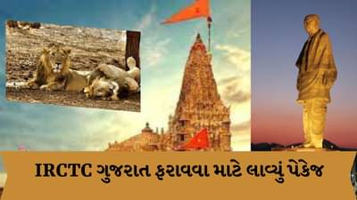 IRCTC Tour Package: ગુજરાત ફરવા માટે આઈઆરસીટીસી લાવ્યું ઓછા બજેટનું પેકેજ, ધાર્મિક સ્થળોની સાથે એશિયાટિક સિંહ જોવાનો મળશે લાભ