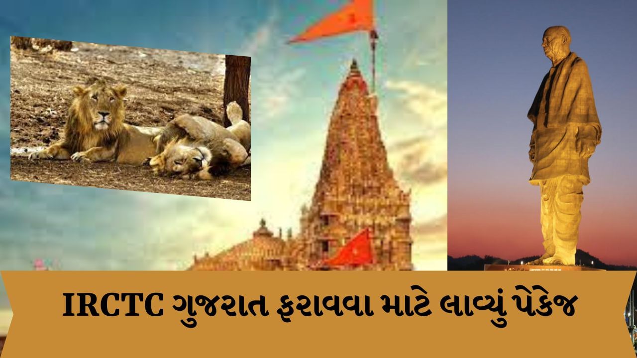 IRCTC Tour Package: ગુજરાત ફરવા માટે આઈઆરસીટીસી લાવ્યું ઓછા બજેટનું પેકેજ,  ધાર્મિક સ્થળોની સાથે એશિયાટિક સિંહ જોવાનો મળશે લાભ