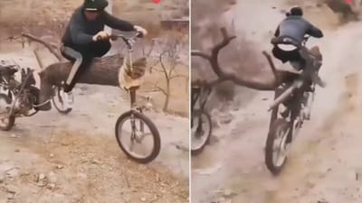 Viral Video: ઝાડના તૂટેલા થડમાંથી બનાવ્યું બાઇક, આ કિમીયા પર ઓવરી ગયા લોકો, જુઓ  Jugaad viral Video