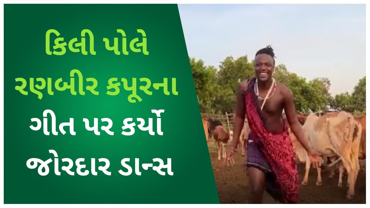 Viral Video: ગાય-ભેંસ વચ્ચે કિલી પોલે કર્યો જોરદાર ડાન્સ, વીડિયો સોશિયલ મીડિયા પર થયો વાયરલ