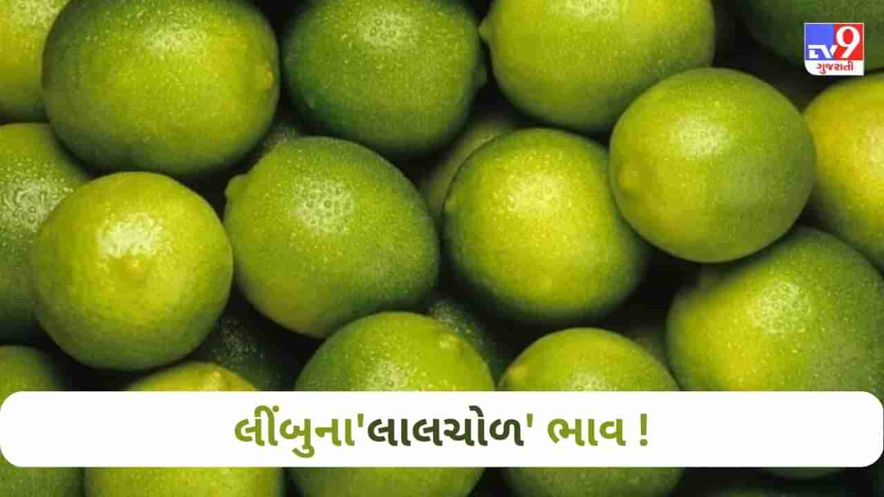 મોંઘવારીનો માર : ઉનાળા પૂર્વે બજારમાં શાકભાજીના ભાવ લાલચોળ ! 40ના કિલો લીંબુ સીધા 120 પાર