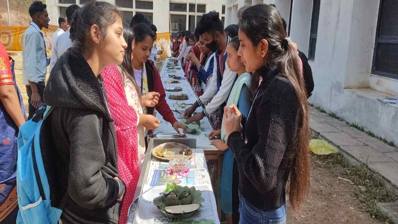 Narmada : ડેડિયાપાડામાં 'ચાલો મિલેટ્સ વિશે જાણીએ' થીમ પર એક પ્રદર્શનનું આયોજન થયું, જાણો મિલેટ્સમાં શેનો સમાવેશ થાય છે