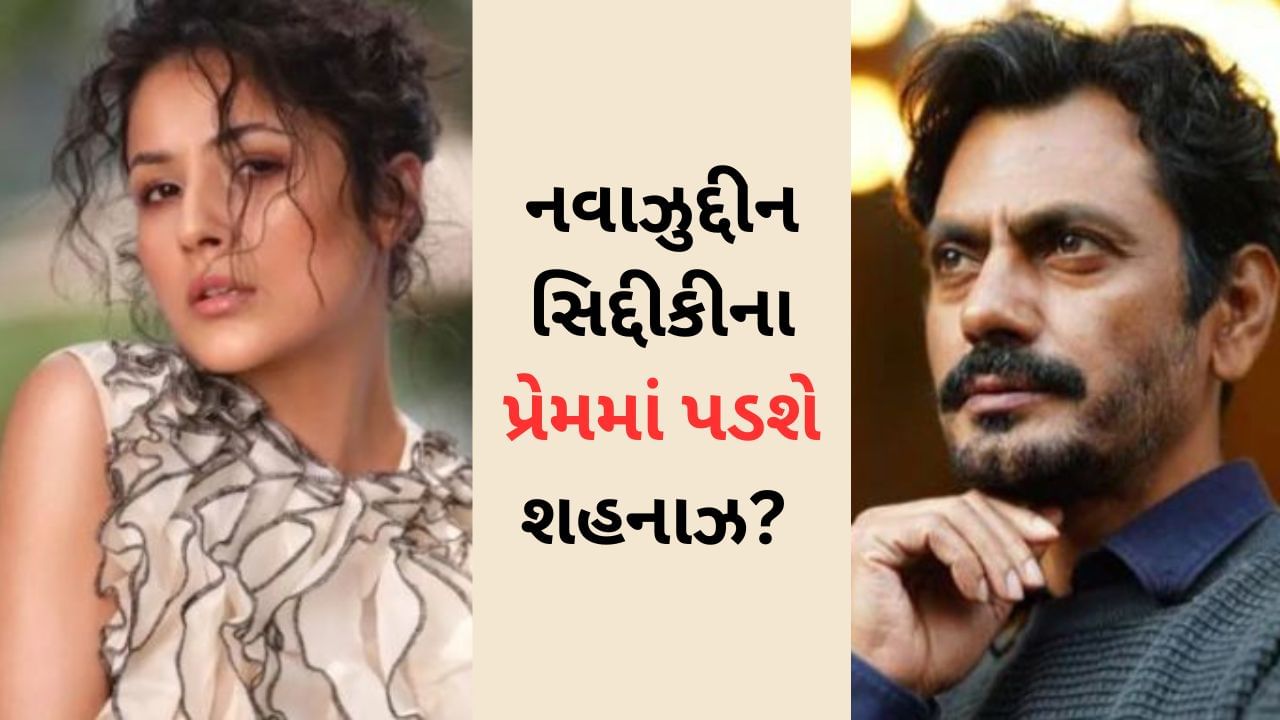 નવાઝુદ્દીન સિદ્દીકીના પ્રેમમાં પડશે શહનાઝ? બી પ્રાકના મ્યુઝિક વીડિયોમાં જોવા મળશે !