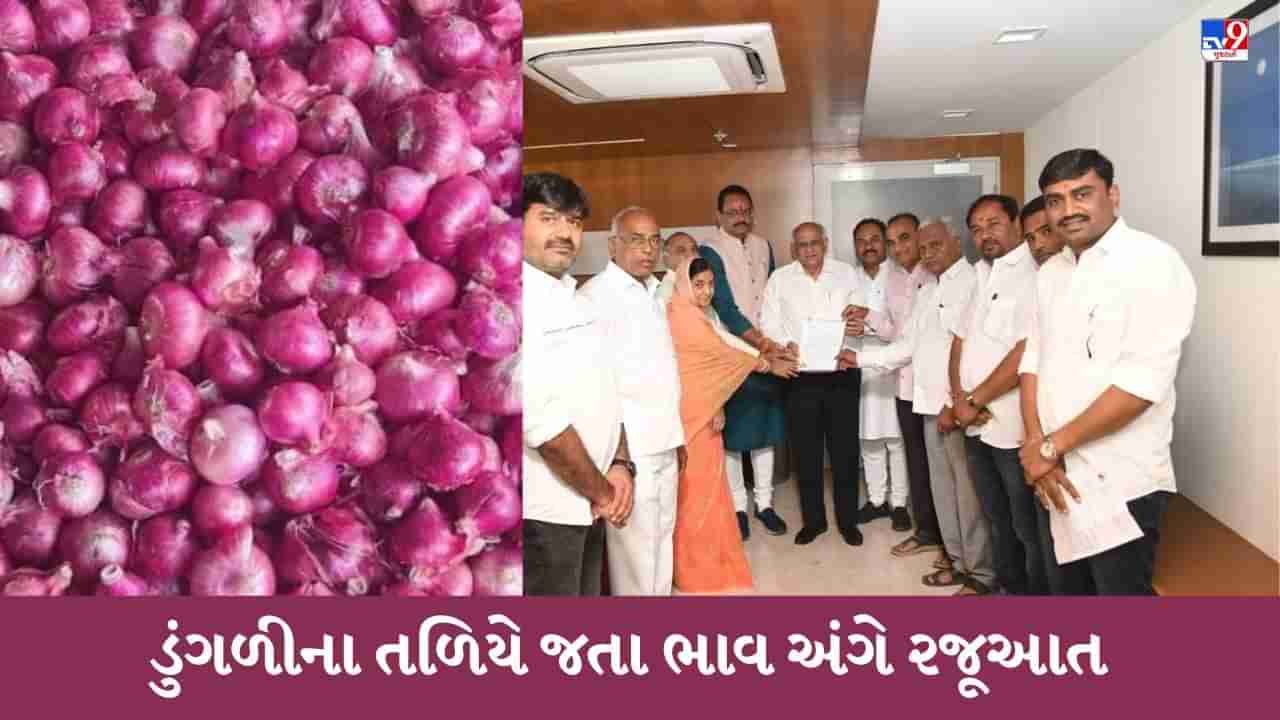 Gandhinagar: ડુંગળીના તળિયે ગયેલા ભાવ અંગે ભાવનગરના ધારાસભ્ય જીતુ વાઘાણી, ગીતા બા જાડેજા સહિત APMCના હોદ્દેદારોની CM ભૂપેન્દ્ર પટેલને રજૂઆત