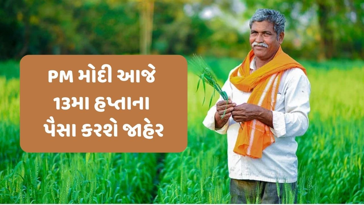 આનંદો ! ગુજરાત સહિત દેશભરના ખેડૂતોના ખાતામાં આજે 13માં હપ્તાના પૈસા ટ્રાન્સફર કરશે PM મોદી