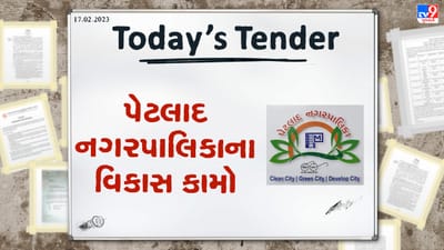 Tender Today : પેટલાદ નગરપાલિકા દ્વારા વિવિધ વિકાસ કામો માટે ટેન્ડર બહાર પડાયુ, જાણો ક્યાં સુધી અરજી કરી શકાશે