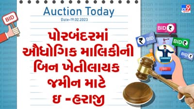 Auction Today : પોરબંદરમાં ઔધોગિક માલિકીની બિન-ખેતીલાયક જમીન માટે ઇ -હરાજી, જાણો તમામ વિગતો