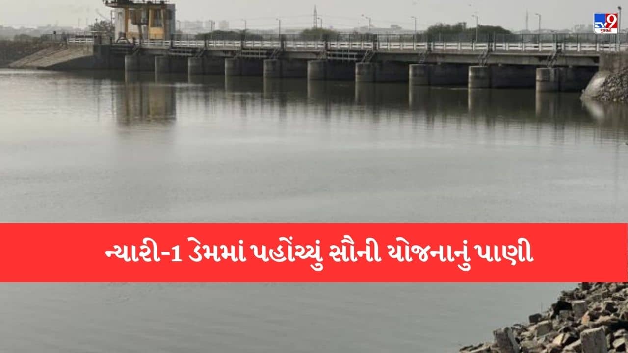 Gujarati video: ન્યારી-1 ડેમમાં સૌની યોજનાનું પાણી પહોંચતા રાજકોટવાસીઓને રાહત