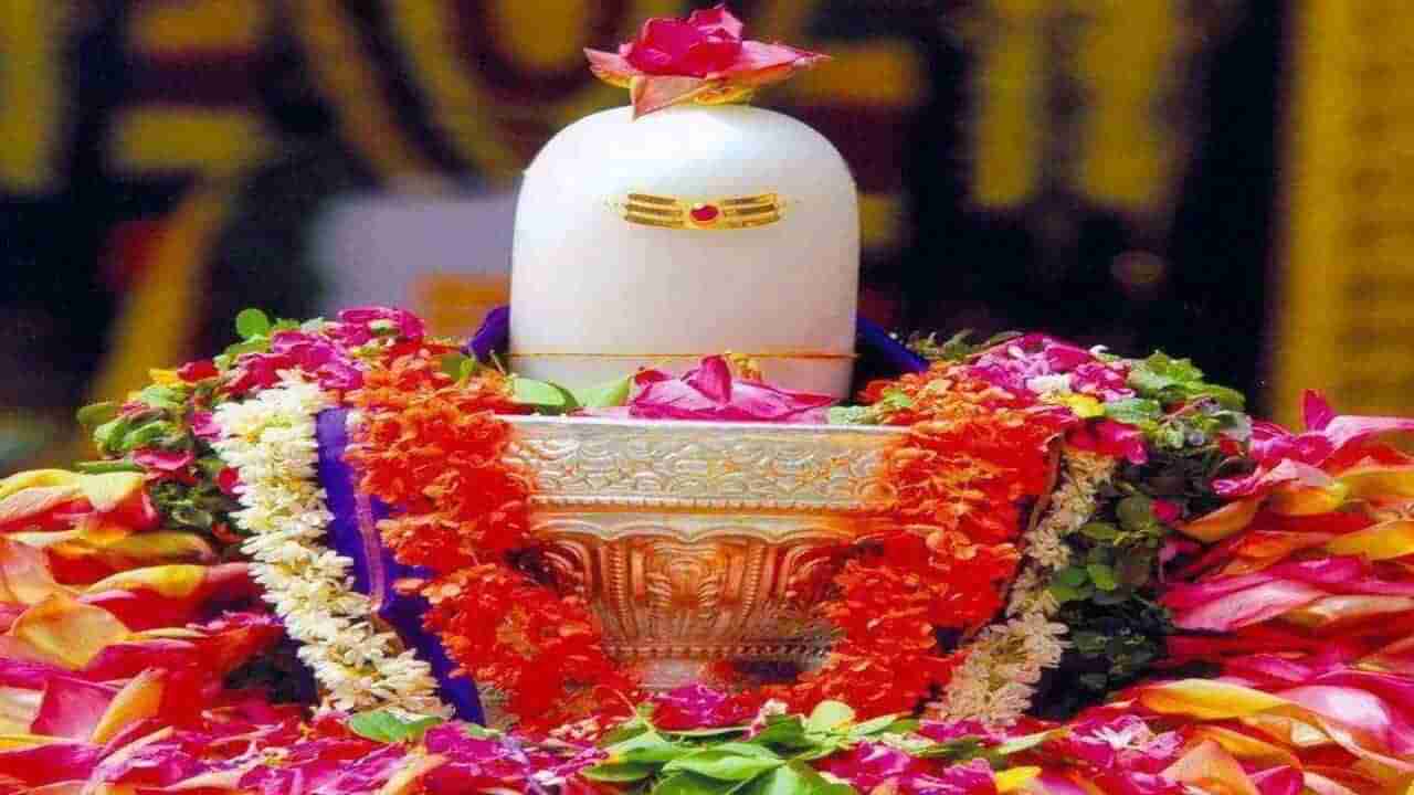 Mahashivratri 2023: એક મંત્ર અપાવશે સંપત્તિ અપાર, મહાશિવરાત્રીએ ભૂલ્યા વિના કરી લો જાપ !