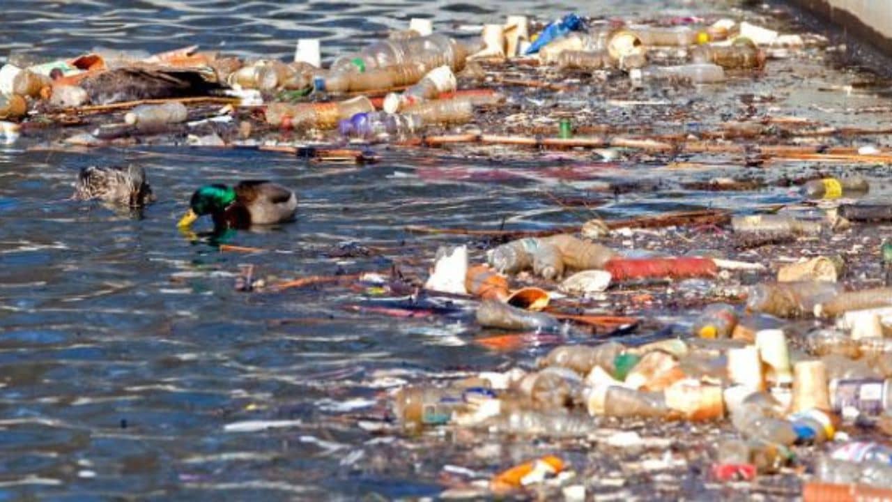 Gujarati Video : સાબરમતી નદીના અસ્તિત્વ સામે તોળાતું સંકટ, નિંદ્રાધીન તંત્રને ઢંઢોળ્યા બાદ કોર્પોરેશન હરકતમાં