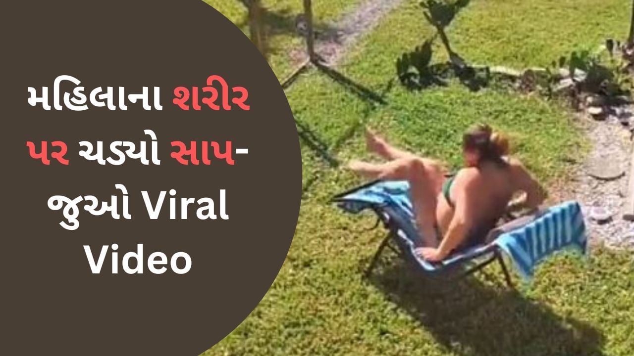 Snake Viral Video : તડકાની મજા લઈ રહેલી મહિલાના શરીરે ચડ્યો સાપ, પછી થઈ જોવા જેવી-જુઓ Viral video