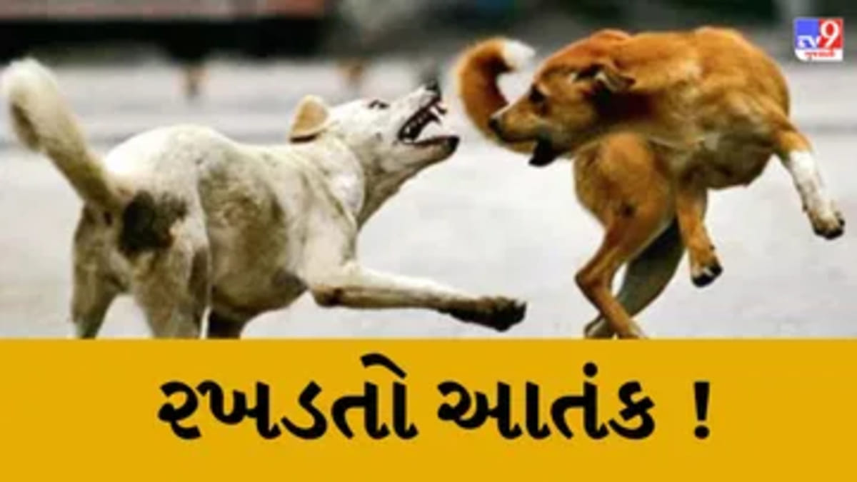 શ્વાનનો આતંક યથાવત : જામનગર જિલ્લાના સીમ વિસ્તારમાં શ્વાન કરડતા ચાર લોકો ઈજાગ્રસ્ત
