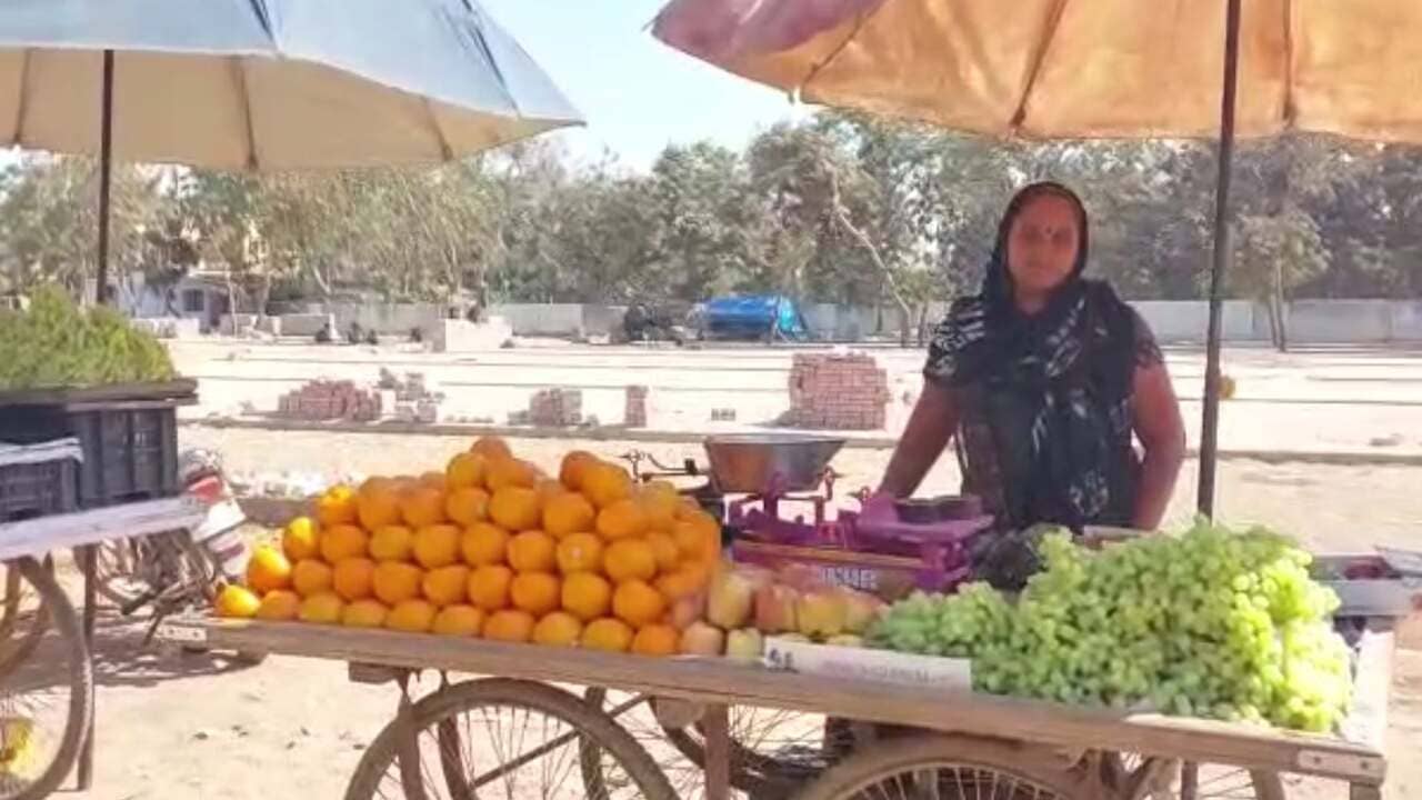 Gujarati Video: ગાંધીનગર સ્ટ્રીટ વેન્ડિંગ માસ્ટર પ્લાન અમલમાં મૂકાતા લારી ગલ્લાવાળાને મળશે સુવિધા