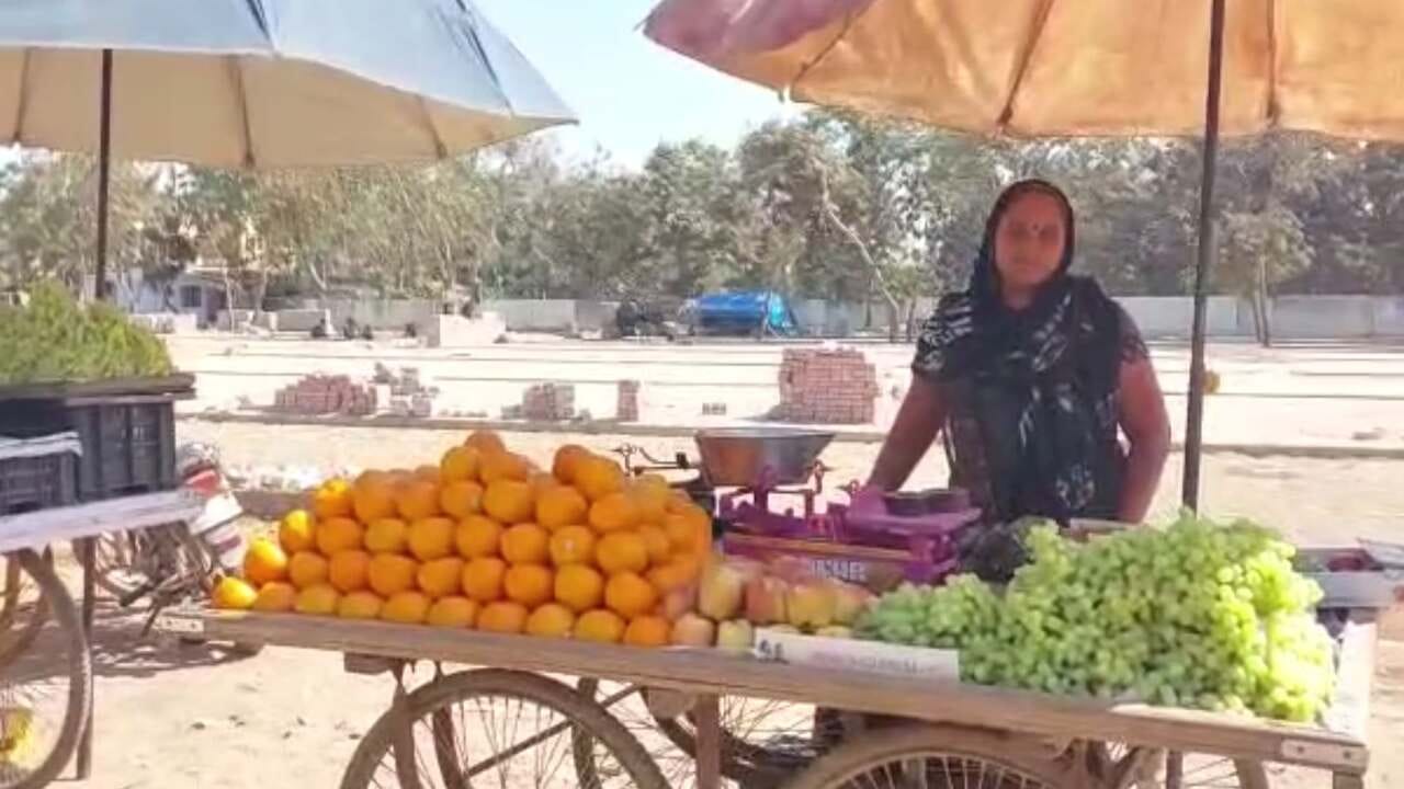 Gujarati Video: ગાંધીનગર સ્ટ્રીટ વેન્ડિંગ માસ્ટર પ્લાન અમલમાં મૂકાતા લારી ગલ્લાવાળાને મળશે સુવિધા Gujarati Video: ગાંધીનગર સ્ટ્રીટ વેન્ડિંગ માસ્ટર પ્લાન અમલમાં મૂકાતા લારી ગલ્લાવાળાને મળશે સુવિધા