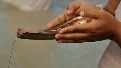 બીમારીથી મુક્તિ અપાવશે ભીષ્મ દ્વાદશીનું વ્રત, જાણો પિતૃઓ કેવી રીતે દેશે સુખ-શાંતિના આશીર્વાદ ?