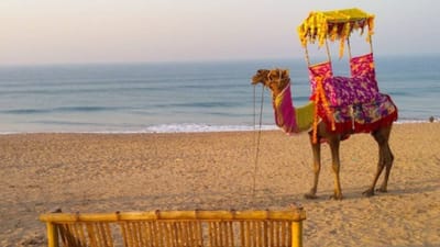 1)માધવપુર બીચ : ગુજરાતના માધવપુર બીચ પર અનેક કાર્યક્રમોનું આયોજન કરવામાં આવે છે. અહીં તમે તમારા પાર્ટનર સાથે ખૂબ મસ્તી કરી શકો છો. આ સાથે, તમે અહીંથી કેટલીક સ્થાનિક વસ્તુઓ પણ ખરીદી શકો છો. ( Photo : travel-history)