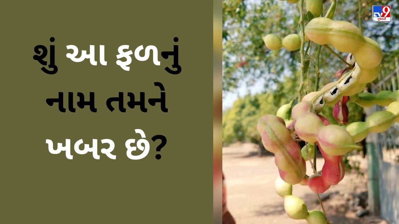 Viral Photo : હોય કાંઈ ! ઘણા લોકોએ આ જંગલી ફળ ખાધું હશે, હવે તસવીર સામે આવી તો, કોઈ નામ ના કહી શક્યું