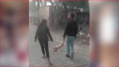 ગલુડિયાને બે પગેથી ખેંચી ક્રુરતાથી ઝૂલાવ્યુ, Video જોઈ ભડક્યા IAS અધિકારી, પૂછ્યુ આમા જાનવર કોણ?