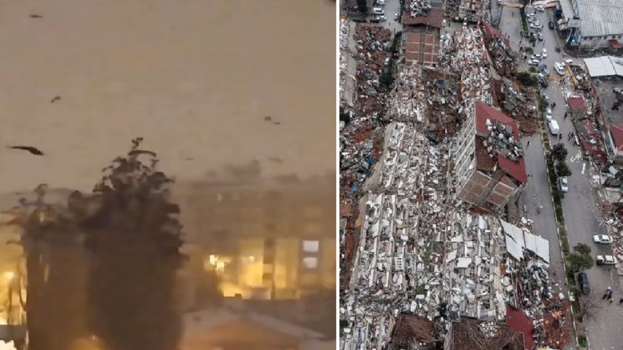 Viral Video : ભૂકંપ પહેલા તુર્કીના આકાશમાં જોવા મળ્યા હતા ચોંકાવનારા દ્રશ્યો, જાણો પશુ-પક્ષીઓની આ અનોખી શક્તિ પાછળનું રહસ્ય