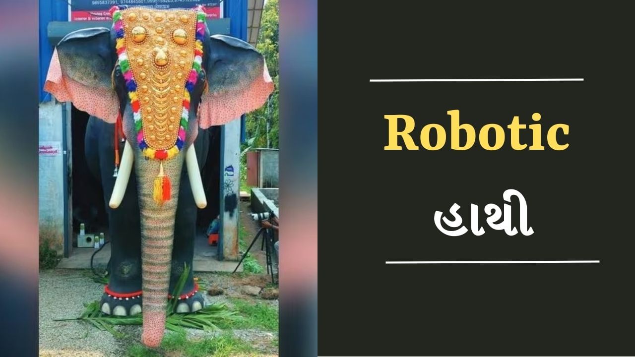 Viral Video : મંદિરમાં પહેલીવાર જોવા મળ્યો 'રોબોટિક હાથી', પૂજારીએ આ રીતે કરી પૂજા