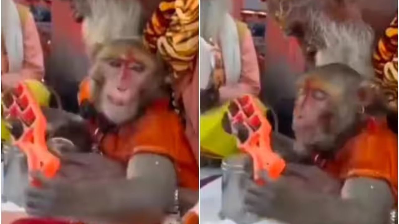 Viral Video : વાંદારાએ ભક્તો સાથે કર્યું રામનું ભજન, ભગવાનની ભક્તિમાં થયો લીન