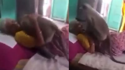 Viral Video : રોટલી આપનાર અમ્મા થઈ બીમાર, વાંદરાએ ભેટીને વરસાવ્યો પ્રેમ અને વ્હાલ