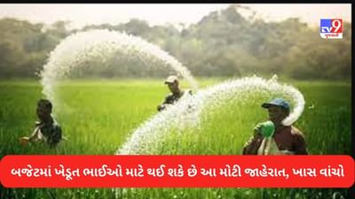 Union Budget 2023: નાણાપ્રધાન આજે કરી શકે છે કૃષિ સંબંધિત મોટી જાહેરાત, ખેડૂત ભાઈઓ જરૂરથી વાંચે આ સમાચાર