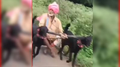 Viral Video : કાકાએ દેશી જુગાડથી બનાવી અનોખી કાર, Video જોઈને તમે હસવાનું નહી રોકી શકો