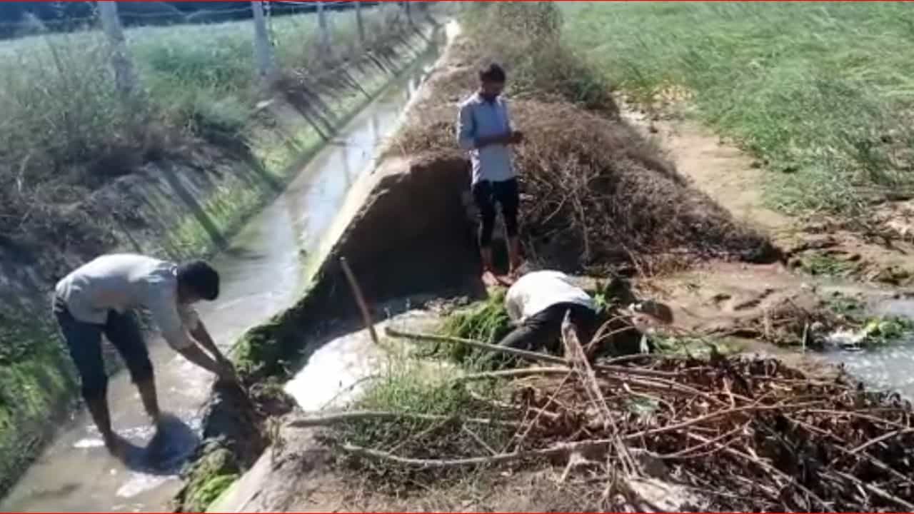 Gujarati Video : બનાસકાંઠાના થરાદના ઓત્રોલ માઇનોરની એક કેનાલમાં પડ્યું ગાબડું, જુઓ Videoમાં ખેતરોના ઉભા પાકને થયેલા નુક્શાનીના દ્રશ્યો