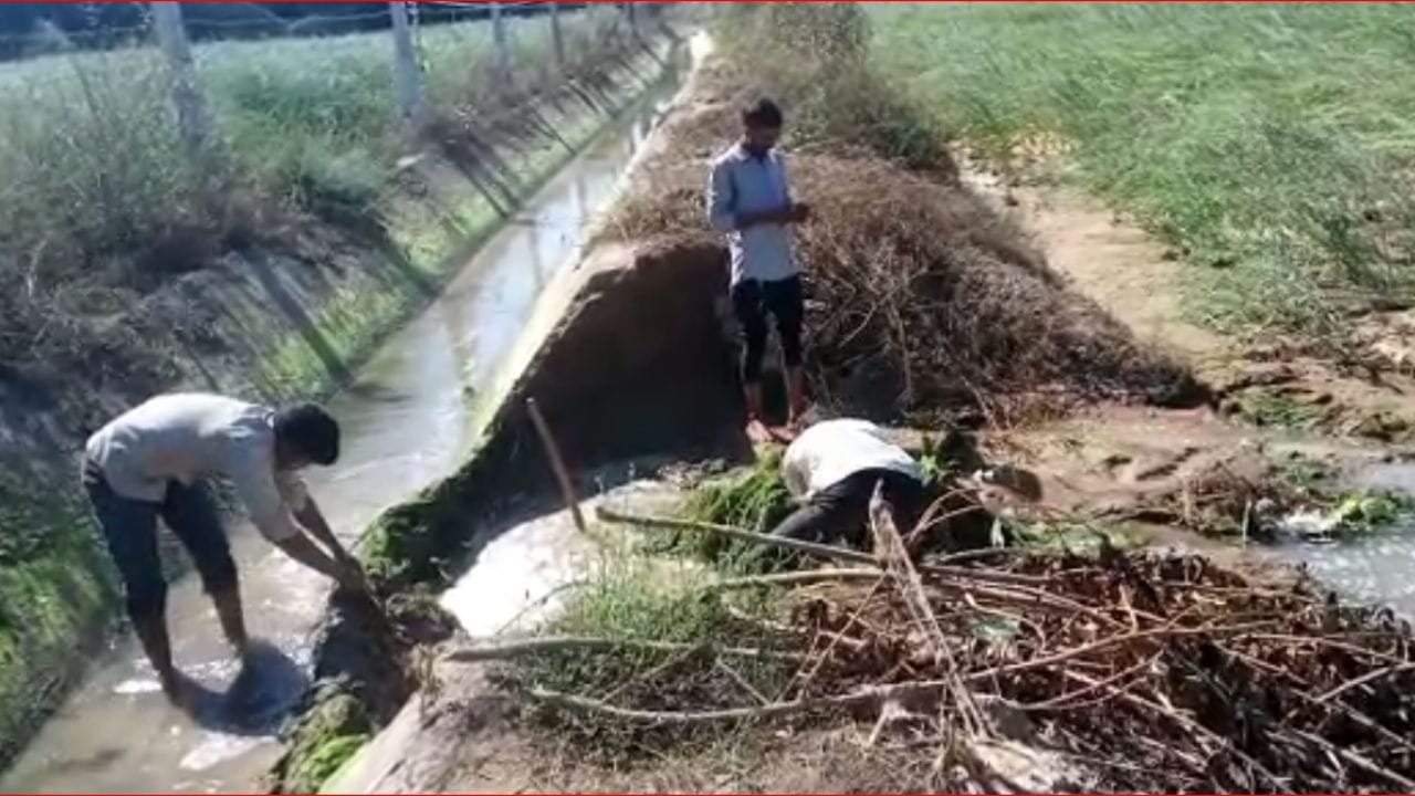 Gujarati Video : બનાસકાંઠાના થરાદના ઓત્રોલ માઇનોરની એક કેનાલમાં પડ્યું ગાબડું, જુઓ Videoમાં ખેતરોના ઉભા પાકને થયેલા નુક્શાનીના દ્રશ્યો Gujarati Video : બનાસકાંઠાના થરાદના ઓત્રોલ માઇનોરની એક કેનાલમાં પડ્યું ગાબડું, જુઓ Videoમાં ખેતરોના ઉભા પાકને થયેલા નુક્શાનીના દ્રશ્યો