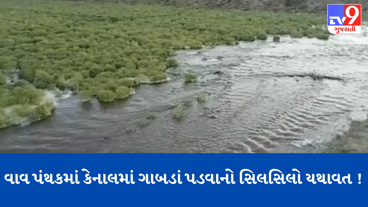 Banaskantha : વાવ પંથકમાં કેનાલમાં ગાબડાં પડવાનો સિલસિલો યથાવત ! પાનસેડા નજીક માઈનોર કેનાલમાં 10 ફૂટનું ઊંડું  પડ્યું ગાબડું