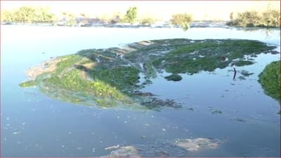 Gujarati Video: જેતપુરના ખીરસરા નજીક કેનાલ ઓવરફ્લો થતા ખેડૂતોને નુકસાન, આસપાસના ખેતરોમાં ફરી વળ્યા પાણી