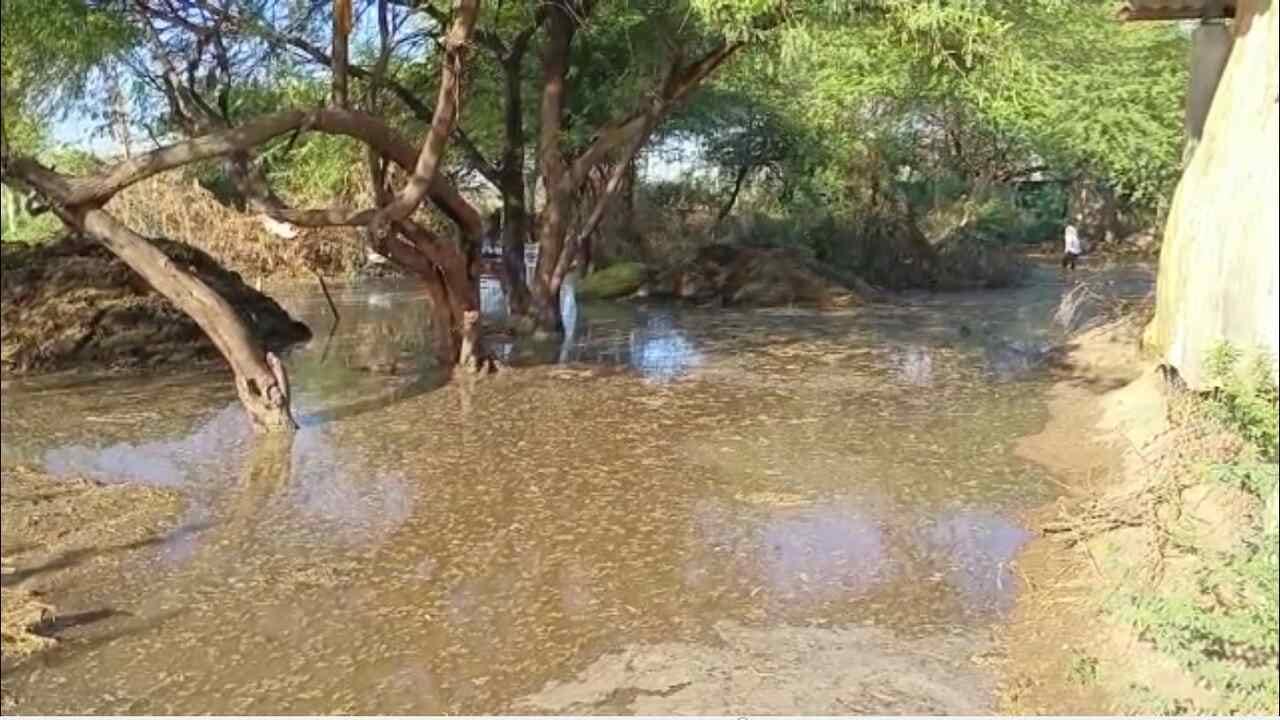 Gujarati Video : બનાસકાંઠાની કેનાલોમાં ગાબડા પડવાનો સિલસિલો યથાવત, દાંતીવાડા કેનાલમાં ગાબડુ પડતા પાણી ખેતરોમાં ઘુસ્યા Gujarati Video : બનાસકાંઠાની કેનાલોમાં ગાબડા પડવાનો સિલસિલો યથાવત, દાંતીવાડા કેનાલમાં ગાબડુ પડતા પાણી ખેતરોમાં ઘુસ્યા