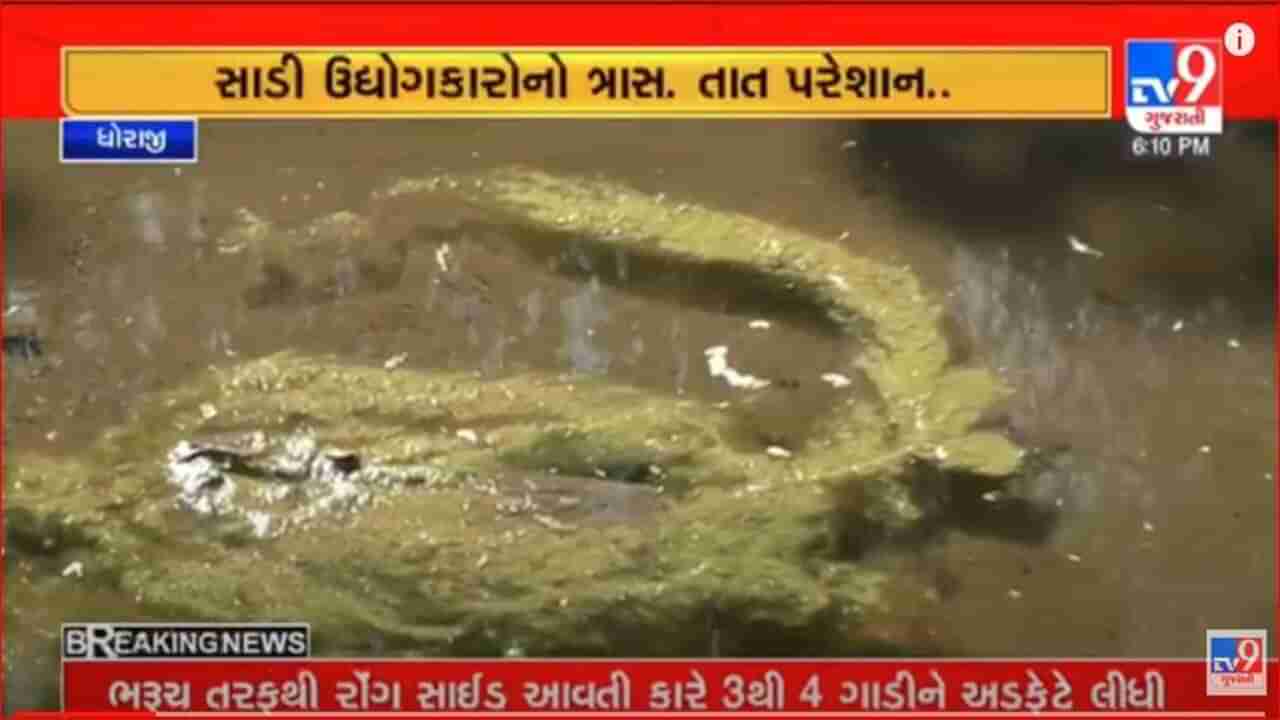 Video: ભાદર ડેમની મુખ્ય કેનાલમાં કેમિકલ ઠલવાતા ખેડૂતોના પાકને ભારે નુકસાન, અનેક રજૂઆતો બાદ પણ નથી થતી કાર્યવાહી