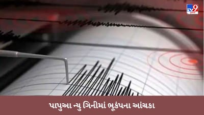 પાપુઆ ન્યુ ગિનીમાં ભૂકંપના આંચકા, રિક્ટર સ્કેલ પર 6.5ની તીવ્રતા