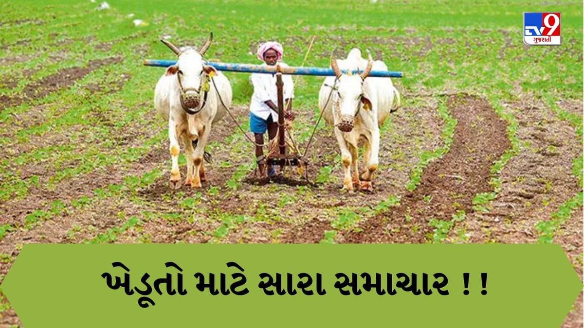 બરછટ અનાજની ખેતી કરનારા ખેડૂતોની બલ્લે-બલ્લે, આ યોજના હેઠળ સરકાર 10 હજાર આપશે બરછટ અનાજની ખેતી કરનારા ખેડૂતોની બલ્લે-બલ્લે, આ યોજના હેઠળ સરકાર 10 હજાર આપશે