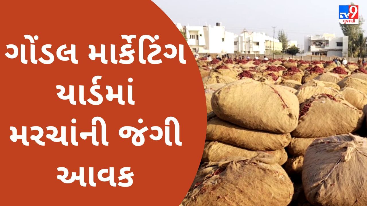 સૌરાષ્ટ્રમાં મરચાંના ભાવમાં જંગી વધારો, ગોંડલ યાર્ડમાં 20 કિલો મરચાનાં 4000થી 5000 બોલાયા ભાવ