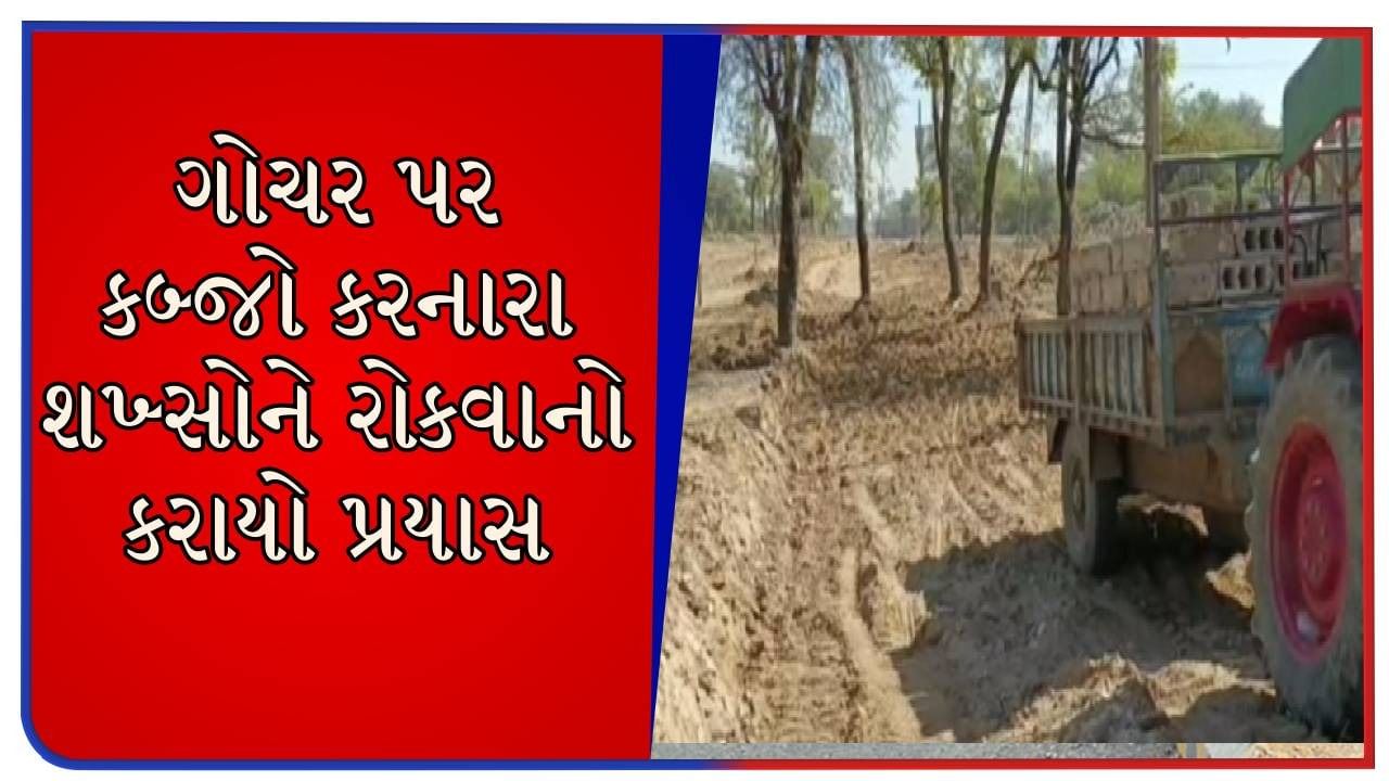 મહેસાણામાં ગોચર જમીન પર ગેરકાયદે કબ્જો, સ્થાનિકોમાં ભારો ભાર રોષ જોવા મળ્યો