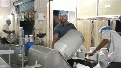 Gujarati Video : જામનગર દૂધ ઉત્પાદન સહકારી સંઘે 1 મહિનામા ત્રીજી વાર કિલો ફેટ દીઠ ભાવમા વધારો કર્યો, Video માં છલકી પશુપાલકોની ખુશી Gujarati Video : જામનગર દૂધ ઉત્પાદન સહકારી સંઘે 1 મહિનામા ત્રીજી વાર કિલો ફેટ દીઠ ભાવમા વધારો કર્યો, Video માં છલકી પશુપાલકોની ખુશી