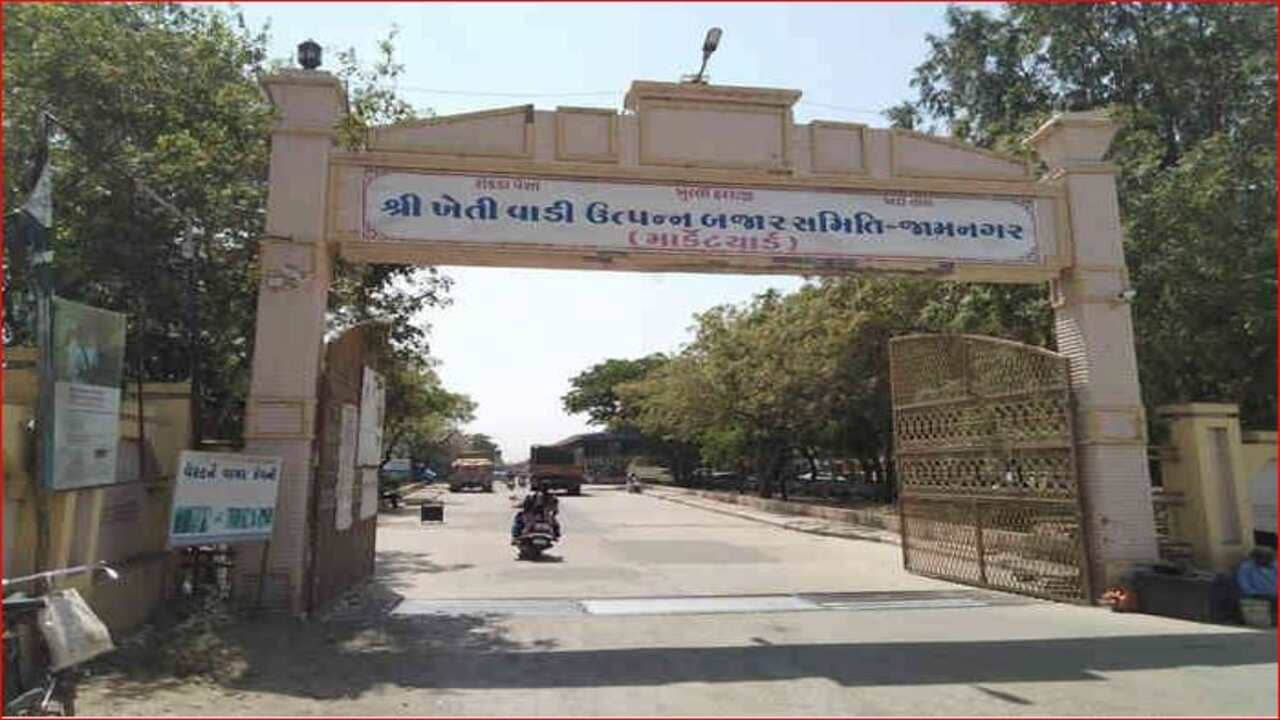 Gujarati Video: હાપા માર્કેટિંગ યાર્ડમાં મરચાંની મબલખ આવક, 1 મણ મરચાંના 1700થી 5500 ભાવ બોલાતા ખેડૂતો ખુશખુશાલ