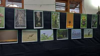 Jamnagar: દેશભરમાંથી 150 વાઈલ્ડલાઈફ ફોટોગ્રાફરના ખાસ કલેકશનનું બે દિવસીય એક્ઝિબિશન યોજાયુ, 486 ફોટાઓની એન્ટ્રી રજૂ કરાઈ