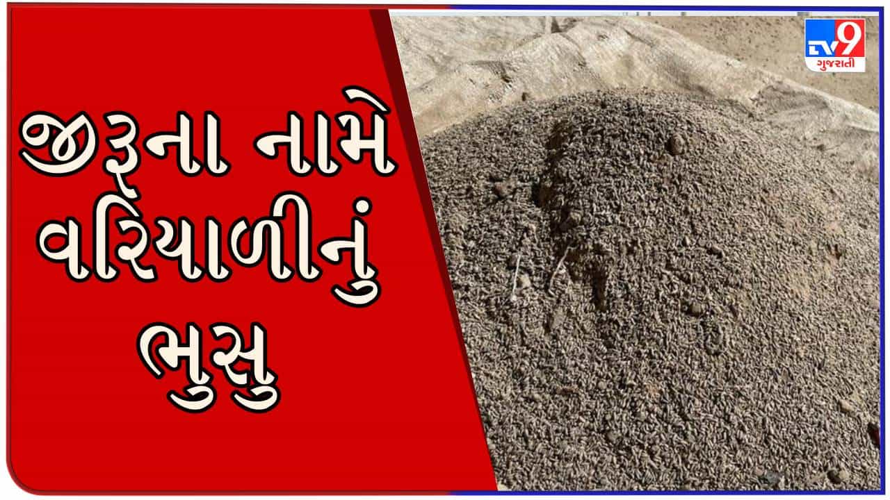 સાવચેત રહેજો ! મહેસાણાના ઉંઝામાં નકલી જીરૂ બનાવતી ફેક્ટરી ઝડપાઈ, જુઓ VIDEO