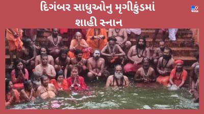 મહાશિવરાત્રીમાં શિવમય બન્યુ ભવનાથ, સાધુ સંતોએ મૃગીકુંડમાં કર્યું શાહી સ્નાન, જુઓ VIDEO