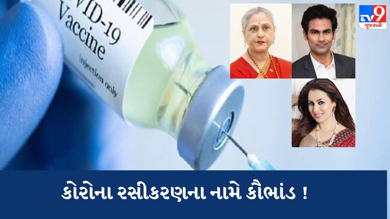 Gujarati Video : જુનાગઢમાં કોરોના રસીકરણના નામે કૌભાંડ ! જયા બચ્ચન, મહિમા ચૌધરી અને મહમદ કૈફના નામે સર્ટિફિકેટ બનાવાયા