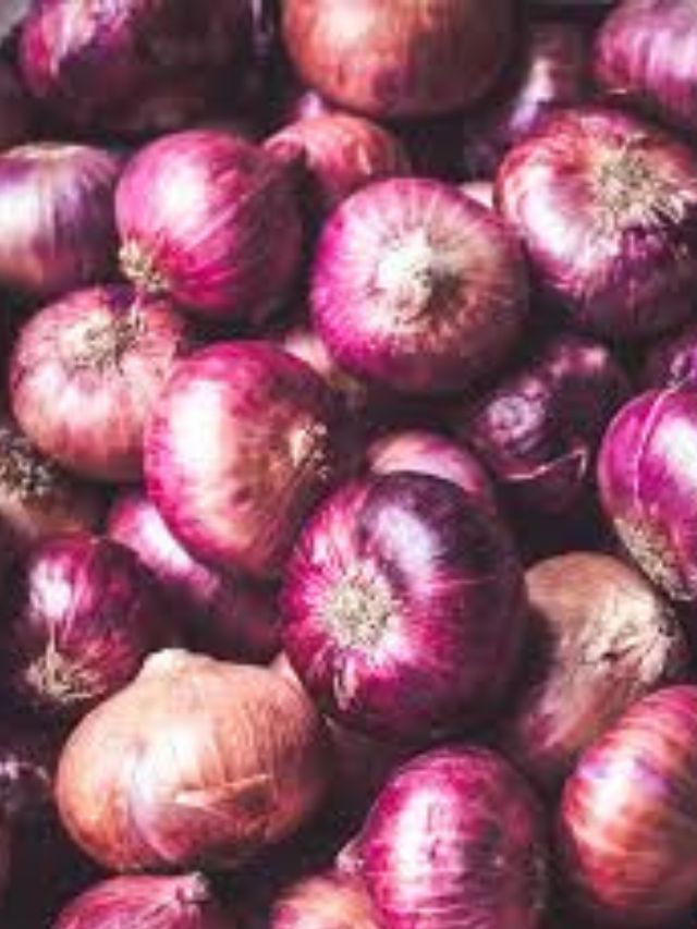 કાચી ડુંગળી ખાવાના આટલા છે ફાયદા Tv9 Gujarati Health Benefits Of Onions