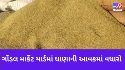 Gujarati Video : ગોંડલ માર્કેટ યાર્ડમાં ધાણાની પુષ્કળ આવક, ભાવ ઓછા મળતા ખેડૂતો ચિંતાતૂર, જુઓ Video