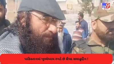 Pakistan Terrorism: હિઝબુલ નેતા સલાહુદ્દીન જાહેરમાં રખડતો જોવા મળ્યો, હવે FATFએ આપ્યો કડક સંદેશ