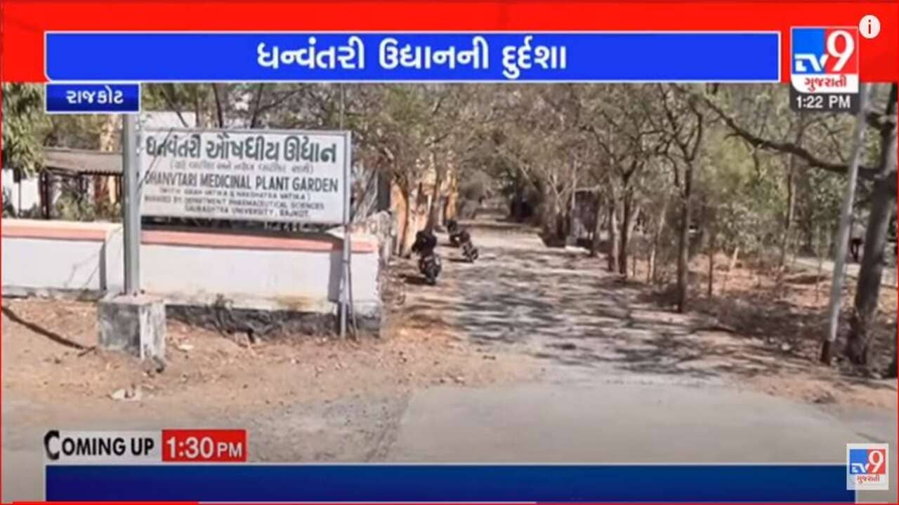 Gujarati Video: સૌરાષ્ટ્ર યુનિવર્સિટીમાં ધન્વંતરી ઔષધીય ઉદ્યાન માવજતના અભાવે ખંઢેર બન્યુ