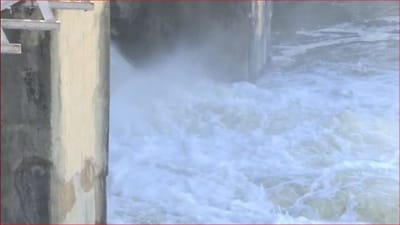 Amreli: વડિયાના સુરવો ડેમમાંથી છોડાયુ પાણી, ખેડૂતોના પાકને મળશે જીવતદાન, જુઓ Video