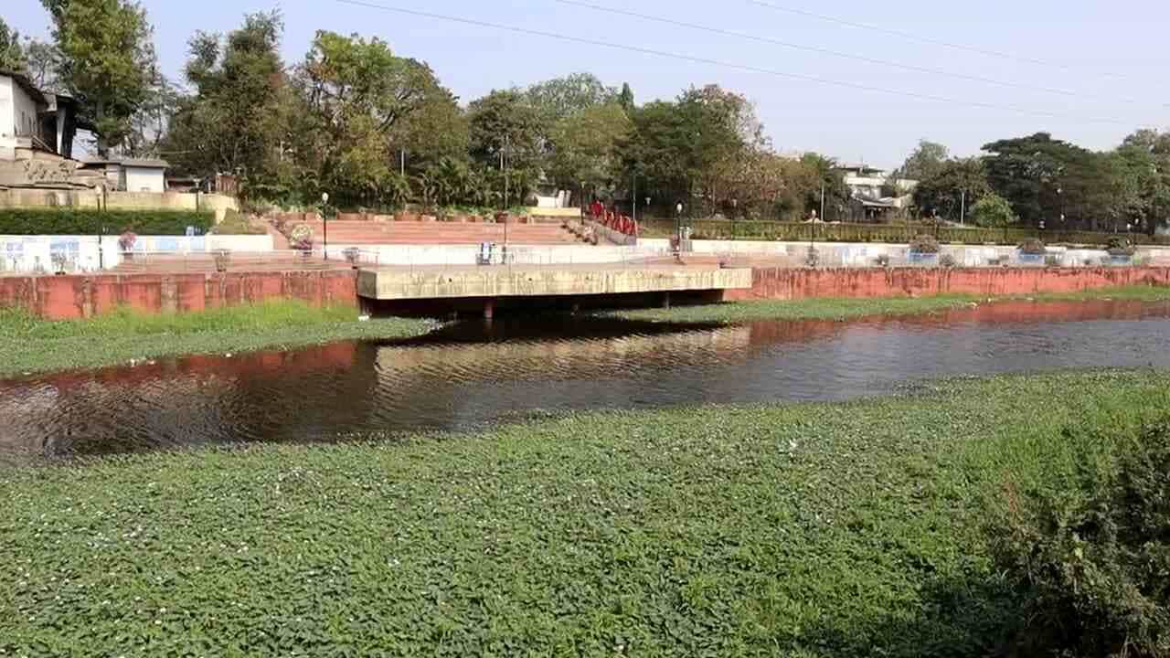 Tapi : નગરપાલિકાની ઘોર બેદરકારીને પગલે રિવરફ્રન્ટ ઉપર ગંદકી, દુર્ગંધ અને મચ્છરનો ઉપદ્રવ